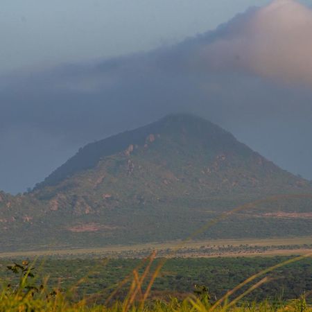 Voi Safari Lodge 외부 사진
