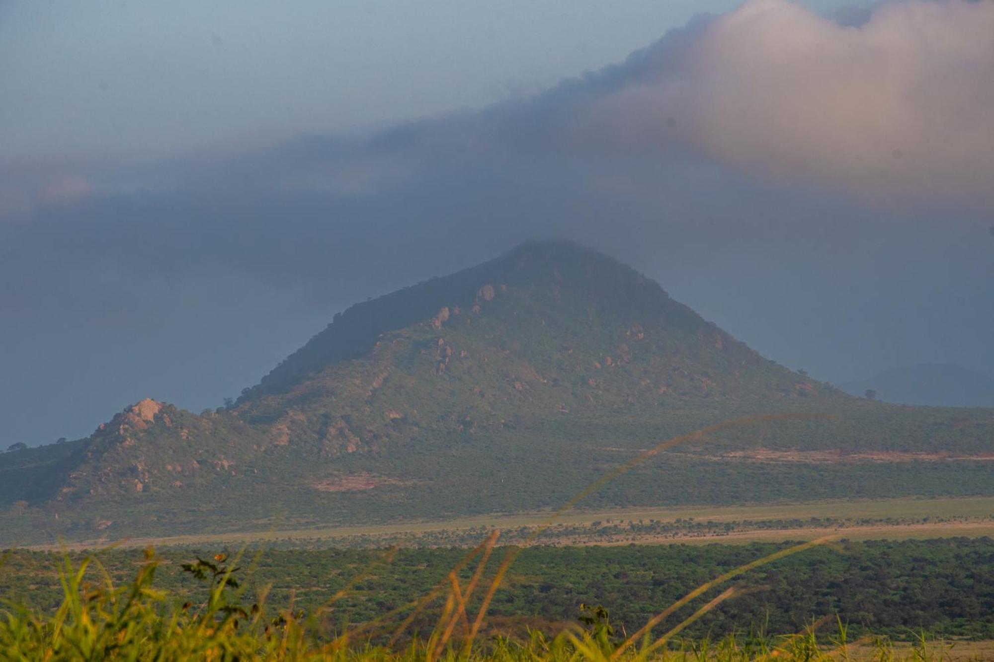 Voi Safari Lodge 외부 사진