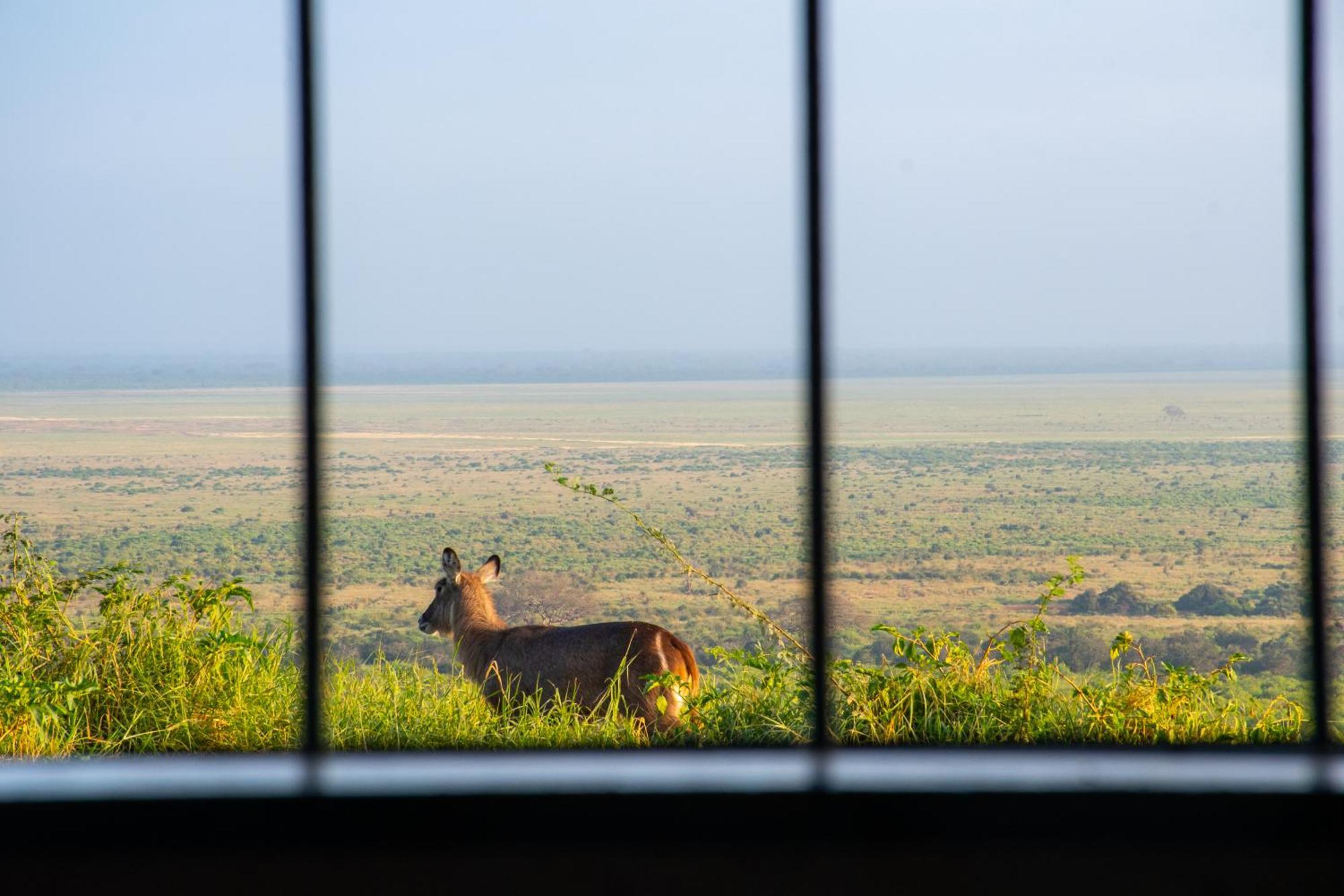 Voi Safari Lodge 외부 사진