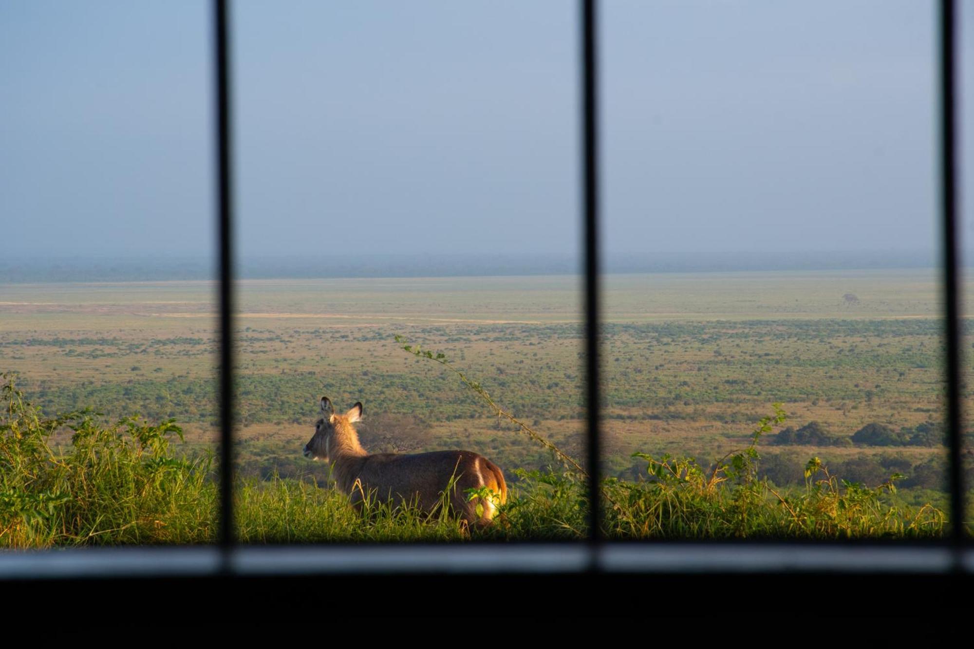 Voi Safari Lodge 외부 사진